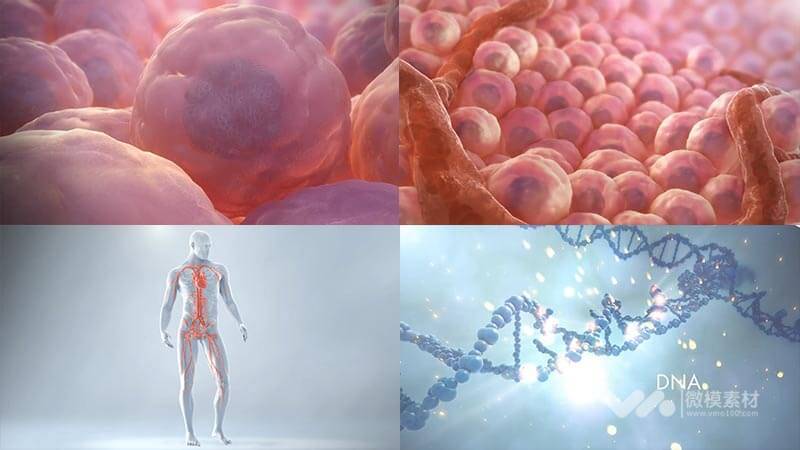 DNA 人体 细胞 医学 医疗科技 三维动画 高清视频素材